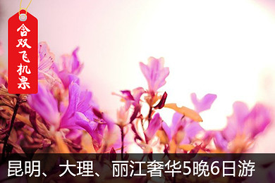 成都出发至云南含双飞机票 昆明\/大理\/丽江奢华