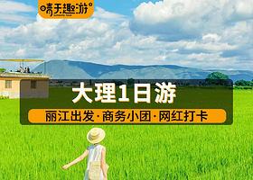 【拼小团】丽江出发|大理古城·双廊·洱海·理想邦·网红S湾1日游|可大理散团