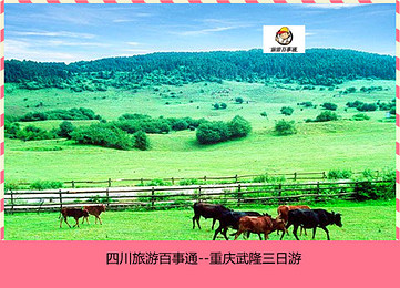 46b1626cb34b59c8ffffffffc8d65eac.jpg_r_390x260x90_3fcab963.jpg