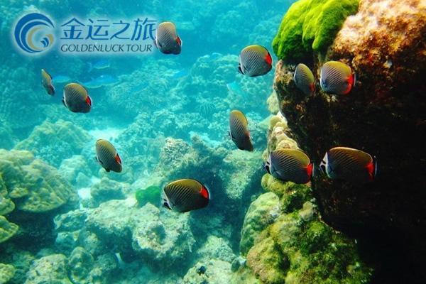 沈阳出发,泰国,普吉岛7天跟团游