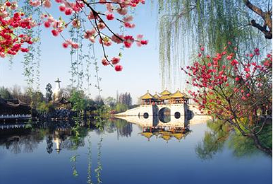 14019b7d54bf40.png_r_390x260x90_906949d6.png