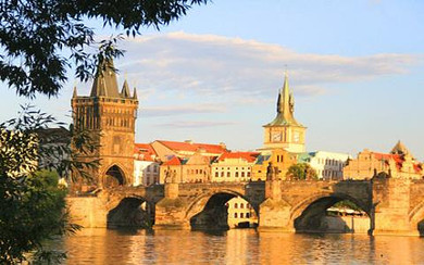 5d1bfb85aaa48c.jpg_r_390x260x90_24228250.jpg