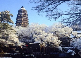 苏州纯玩半日游  拙政园/狮子林/寒山寺/虎丘/山塘街/游船 多套餐可选