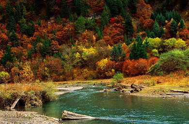 成都到黑水卡龙沟2日游 到小九寨看六十里彩