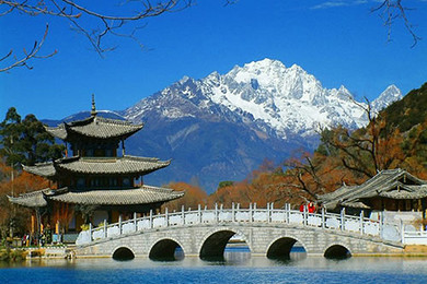 30525edb2c6bb61dc8d65eac.jpg_r_390x260x90_e71b2de6.jpg