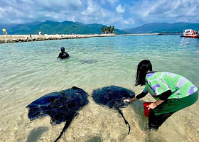 三亚陵水南湾猴岛+分界洲岛一日游|2-8人独立小私团、魔鬼鱼互动、猕猴童趣亲子游纯玩