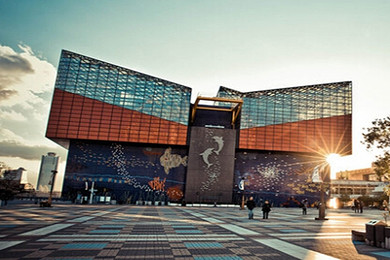 日本大阪海游馆门票 成人票-周边游-世游国际旅