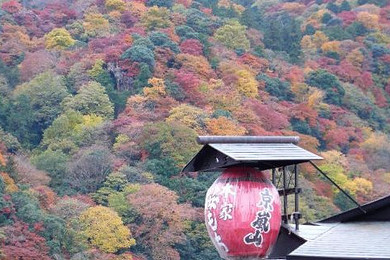 【世界那么大 我们要去看看】首款推出京都和