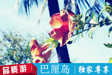 【去哪儿网力荐,五一臻品,双享:巴厘岛+香港】