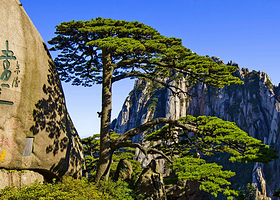 黄山风景区一日游【可选市区出发或汤口出发★导游陪同上山+纯玩品质团+打卡迎客松+西海大峡谷】