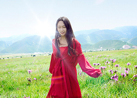 香格里拉松赞林寺+依拉草原+普达措+独克宗古城一日游商务小团