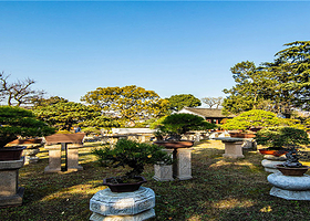 常州出发 苏州一日游 拙政园 狮子林双园虎丘线纯玩