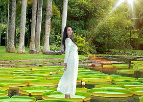 西双版纳植物园+傣族园一日游【2-8人舒适小团】