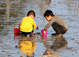 亲子游|厦门赶海一日游小嶝岛/市区五缘湾可选趣味赶海抓蟹+海鲜餐+接送+帆船/自驾可选纯玩无购物