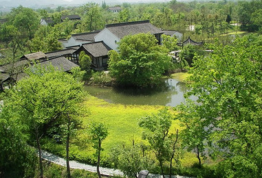 d265670d29abbab293835fbb.jpg_r_390x260x90_b31ff9ce.jpg