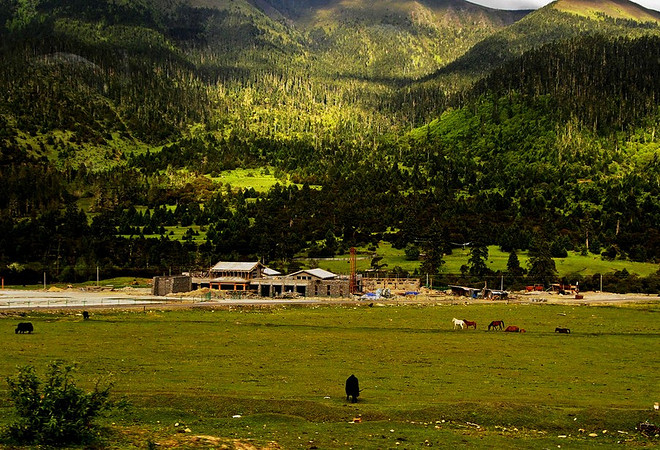 (西藏小瑞士)拉萨--林芝全景二日游(米拉雪山口
