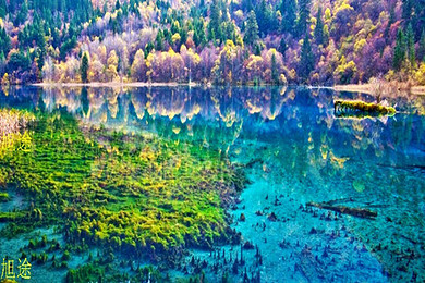 寨沟当地4星标准住宿2晚+黄龙机场专车接机+