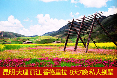 19a349b01c060011c8d65eac.jpg_r_390x260x90_e4f41e59.jpg