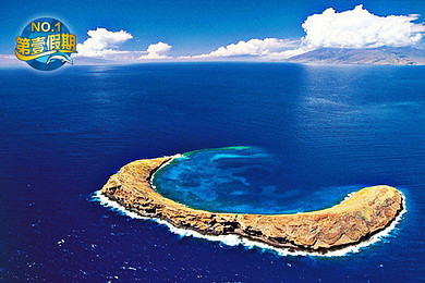 有您要的体验(国旅第壹假期):南昌出发 帕劳 科