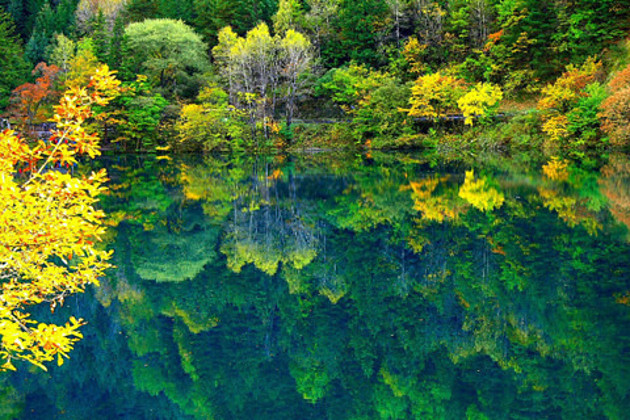【美食诱惑】四川成都、九寨沟、黄龙、古羌城