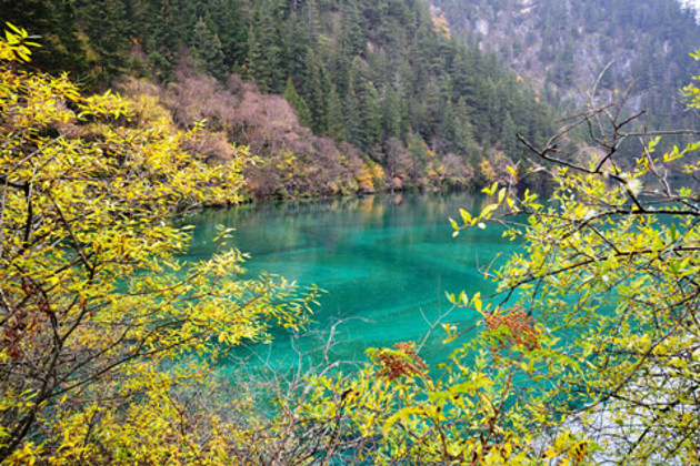 【美食诱惑】四川成都、九寨沟、黄龙、古羌城
