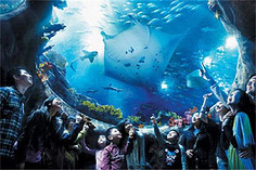 中旅天赐旅游网-去哪儿网Qunar.com