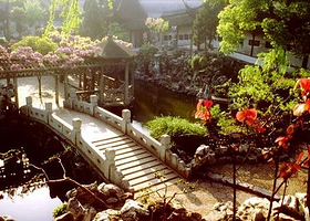 狮子林+姑苏水上游+寒山寺+虎丘+山塘街（古城内上门接 ）