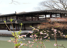 纯玩苏州半日游狮子林+拙政园