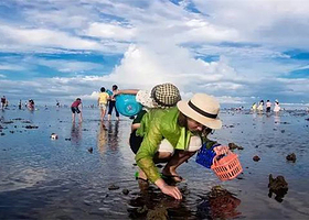 小团·大连3日当地特色：大连森林动物园+旅顺+金石滩度假区三日游【沉浸式原生态大海+触碰历史脉搏+军旅体验】
