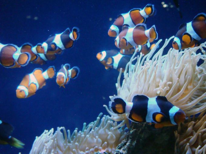 【成都至香港往返机票团购+香港酒店团购+澳