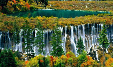 四川、成都、九寨沟、黄龙、峨眉山、乐山8日