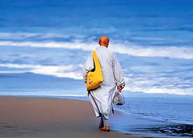 舟山普陀山风景区+舟山普济寺+舟山南海观音大佛一日游【舟山出发】