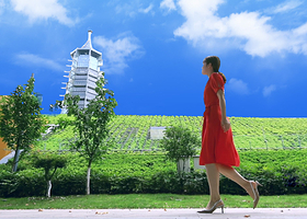 南京总统府+美龄宫+大报恩寺遗址景区+中山陵景区+夫子庙秦淮风光带一日游