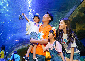 珠海珠海长隆海洋王国一日游【含车费+门票+天天发团+探访海洋动物、鹦鹉过山车、烟花秀、5D影院、企鹅馆】