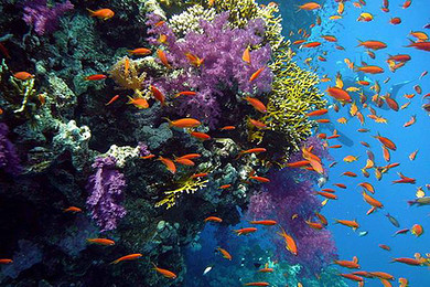 四川航空亲情巨献 引爆全城--成都直飞普吉岛