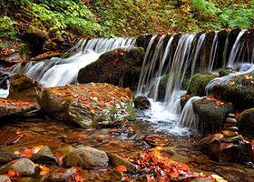 白云山一日游【含景区上下山交通车+景区观光车（往返）洛阳出发】
