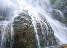 美人谷景区一日游【武汉出发】