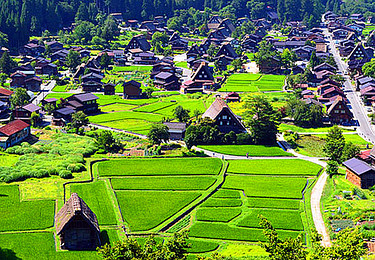 【泉景日本】日本高端体验之旅5晚6天【日航