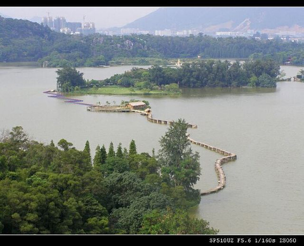 "星湖湿地公园坐落在广东省肇庆市,大名鼎鼎的七星岩就在这个