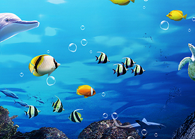 大连棒棰岛+大连圣亚海洋世界+渔人码头+东方威尼斯水城+莲花山观景台一日游【1-6人+10人豪华+私家独立团】