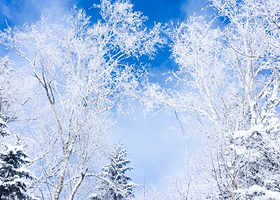 雾凇岛+松花湖滑雪场一日游【看雾凇·玩滑雪·2-6人团上门接送】