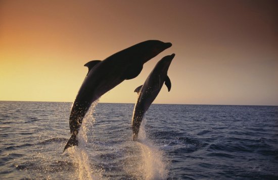 成都到『香港转机』巴厘岛印象6天5晚游 赠送