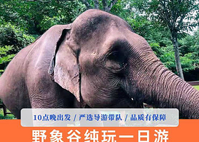 野象谷一日游【纯玩0购物+10点晚出发+懒人游模式+深度体验亲子科普游】