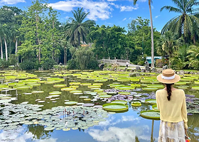 西双版纳中国科学院西双版纳热带植物园+傣族园一日游【品质纯玩无购物团+优质导游陪同讲解+深度畅游】