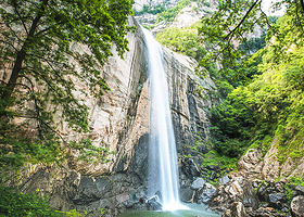洛阳白云山一日游【12月跟团免门票，含景区上下山交通车、景区自由玩，纯玩】