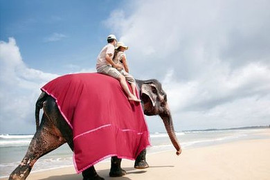 【锡兰风情】杭州出发-斯里兰卡7天跟团游 全