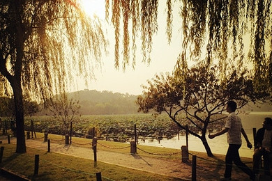 【醉美暑期】上海出发|【杭州+无锡+南京】三