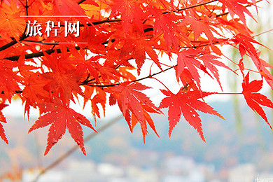 惠风和畅-和歌山 日本本州5晚6天游【北京起止