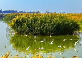 宁夏银川沙湖+水洞沟一日游【精品小团/上门接送/含门票/纯玩无购物】一日游