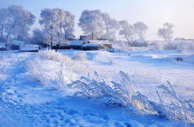 温州到哈尔滨+吉林雾凇+长春伪皇宫+沈阳故宫